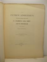 Sur Petrus Adsigerius et les plus ancienne observations de la declination de l'aiguille aimante'e traduit de l'Hollandais par T. Hooiberg. Extrait des Annali di matematica pura ed applicata
