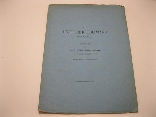Di un teschio boliviano microcefalo. Descrizione del Prof. Giovanni Zoja Socio corrispondente del R. Istituto Lombardo di Scienze e Lettere Letta all'adunanza del giorno 5 febbraio 1874 - Con 4 tavole grandi al vero - copertina