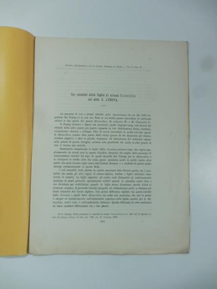 Sui cistoliti delle foglie di alcune coccinia - C. Avetta - copertina