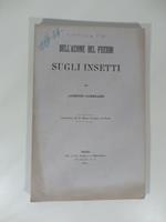 Dell'azione del freddo sugli insetti