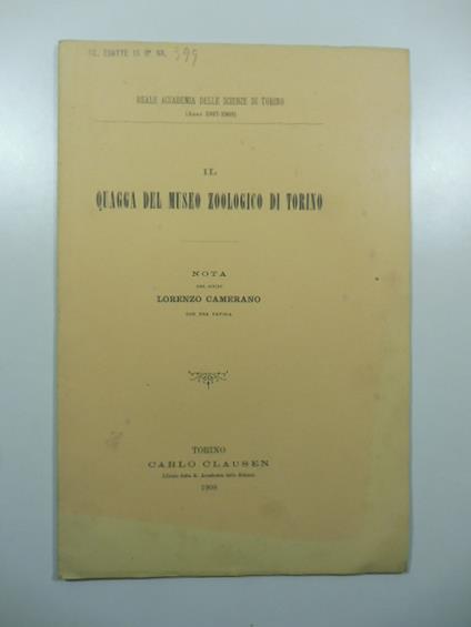 Il quagga del Museo zoologico di Torino. Nota - Lorenzo Camerano - copertina
