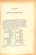 Acari della Nuova Guinea