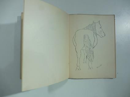 14 cavalcature - Giuseppe Cesetti - copertina