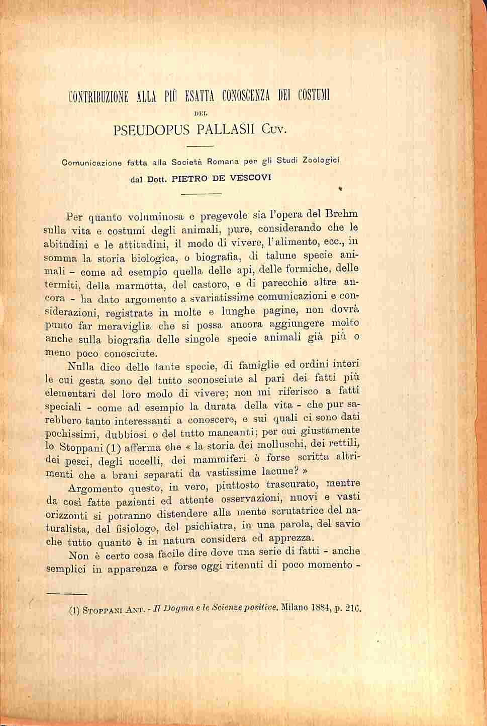 Libreria Coenobium