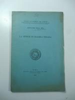 La sfinge di Haghia Triada