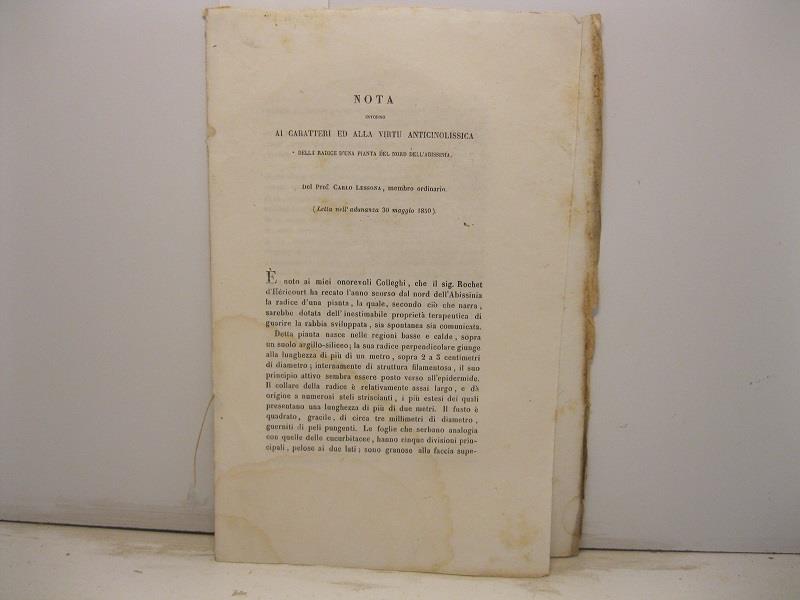 Libreria Coenobium