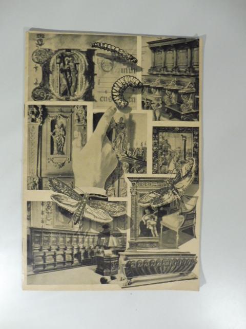 Alessandro Rivolta. Metodo per la conservazione e pietrificazione dei tessuti organici, pezzi anatomici, scheletri e parti staccate - Osvaldo Lissoni - copertina