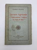 Lavoro agricolo e trasformazioni fondiarie in Terra di Bari
