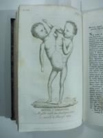 Catalogo ragionato d'una collezione geognostica, contenente le rocce piu' caratteristiche della formazione del macigno della Toscana: quelle di trabocco cioe' dolomitiche, porfiritiche...del D. P. Savi...(Stralcio da: Nuovo giornale de letterati. N.