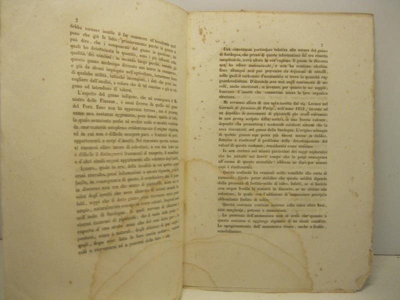 Libreria Coenobium