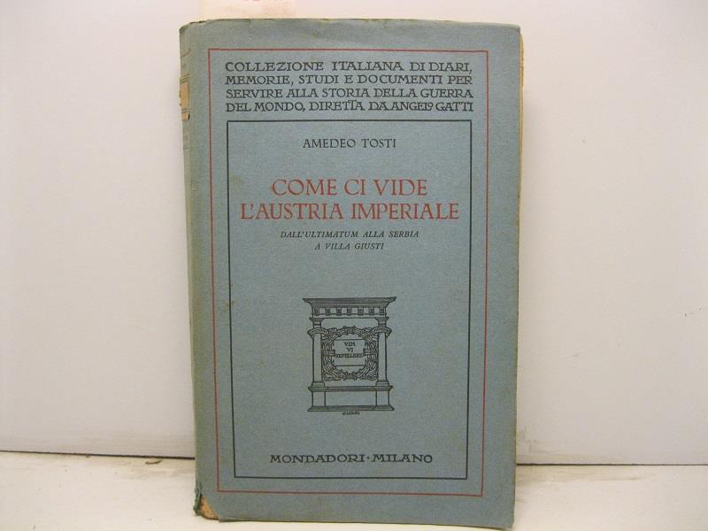 Come ci vide l'Austria imperiale. Dall'ultimatum alla Serbia a Villa Giusti