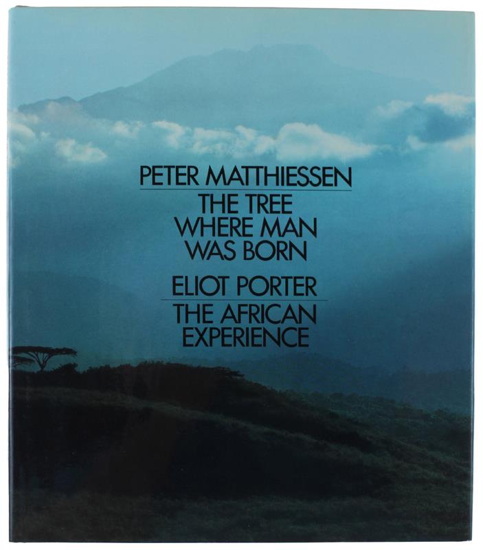 Bergoglio Libri d'Epoca Snc