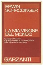 Mia Visione Del Mondo