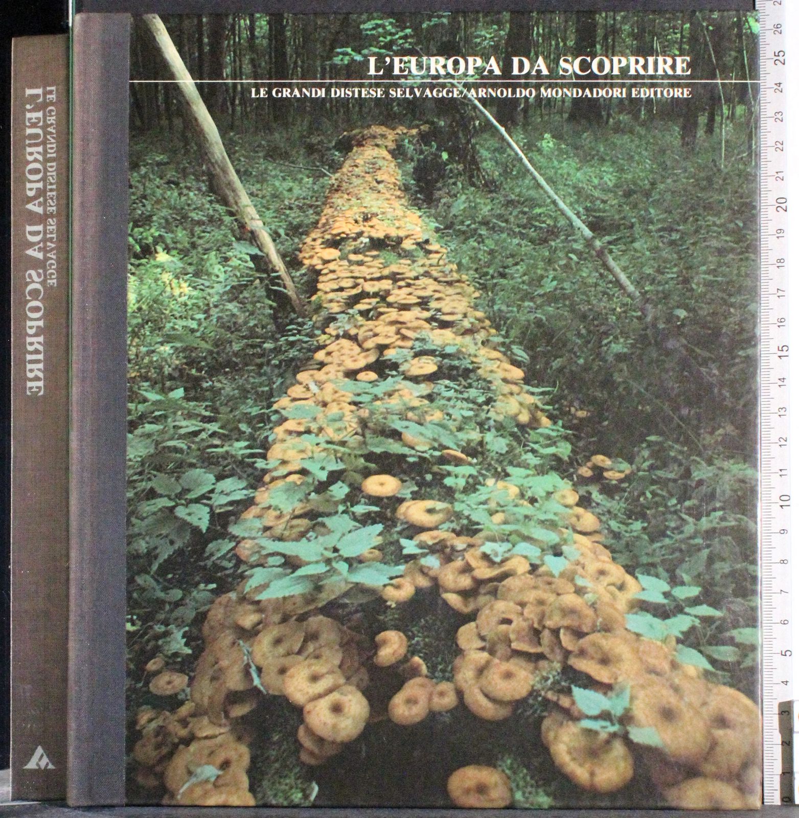 Cartarum