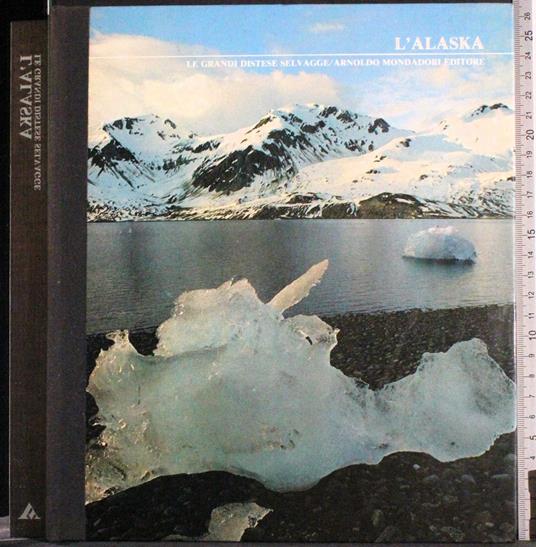 L' Alaska - Dale Brown - copertina