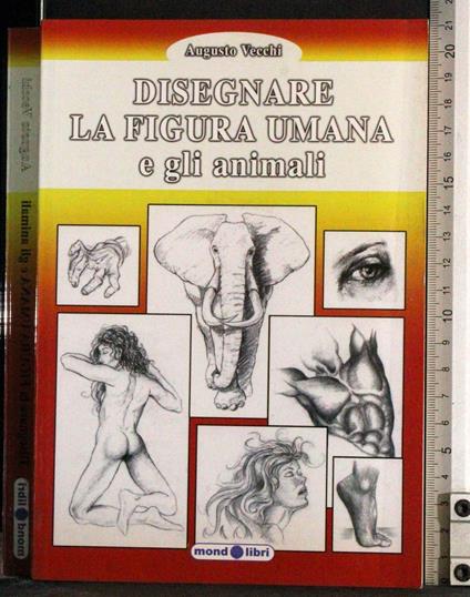 Disegnare la figura umana e gli animali - Augusto Vecchi - copertina