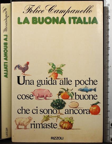 La buona Italia - Felice Campanello - copertina