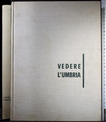 Vedere L'Umbria - Mario Carafoli - copertina