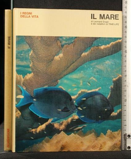 I Regni Della Vita Il Mare - Leonard Engel - copertina