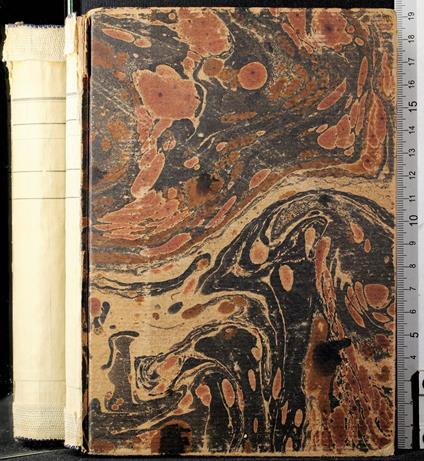 Zi Cardinale - Ugo Falena - copertina