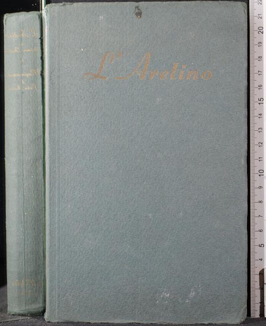 L' arentino. I Raggionamenti - Foschini - copertina