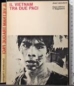 Il Vietnam tra due paci