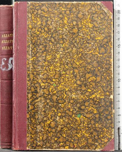 Italia, Italia, Italia!". Il Risorgimento Nel.. - Micacchi - copertina