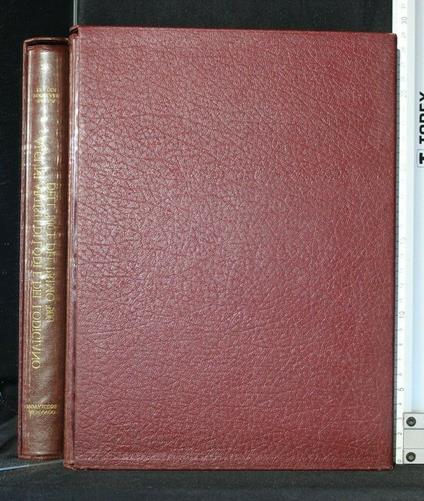 Alcuni Artisti di Lodi e Del Lodigiano Dell'800 e Del Primo - Armando Novasconi - copertina