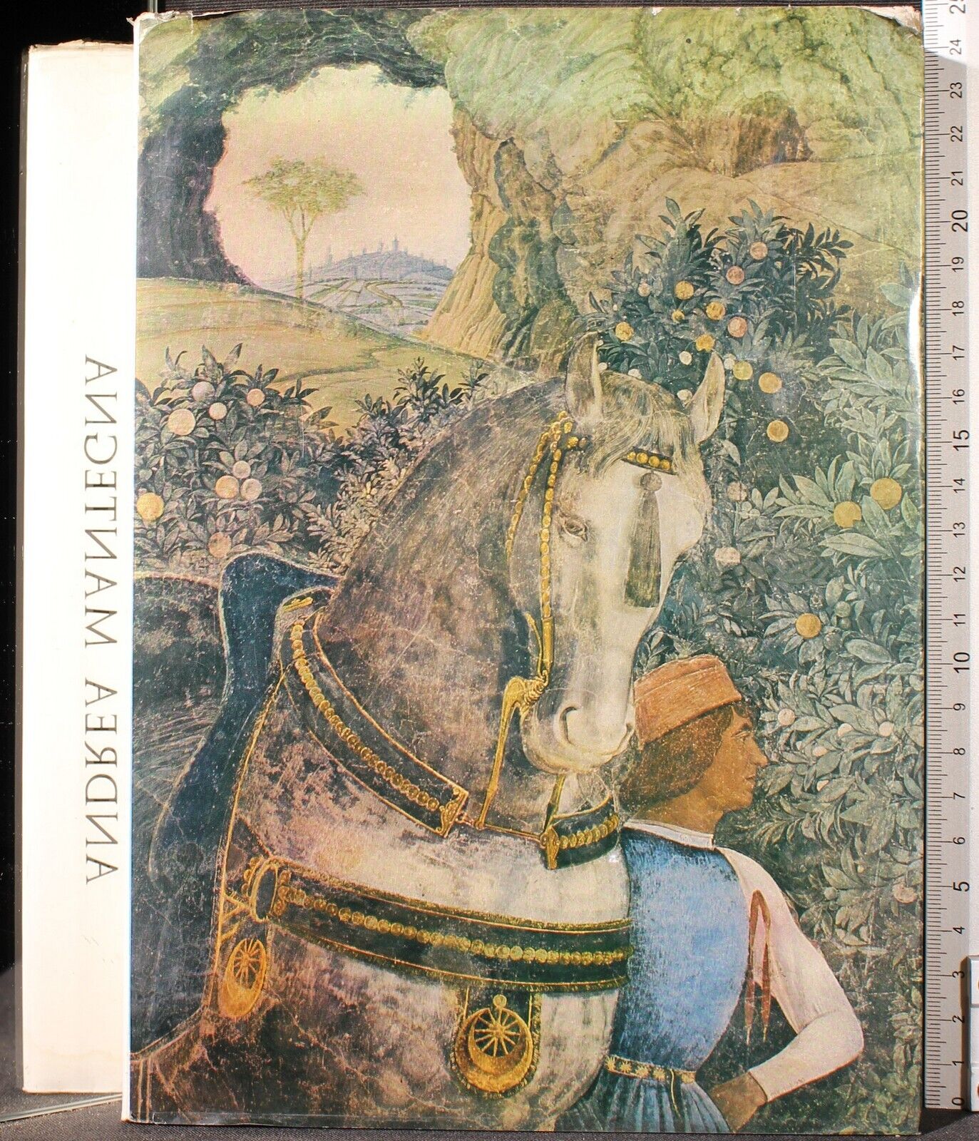 Cartarum