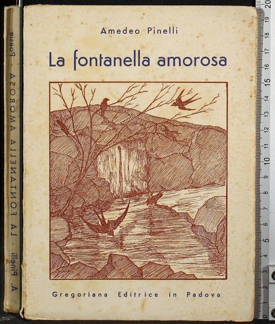 La fontanella amorosa - Amedeo Pinelli - copertina