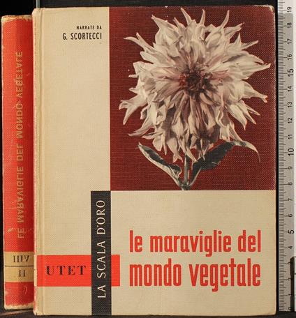 Le meraviglie del mondo vegetale - Scortecci - copertina