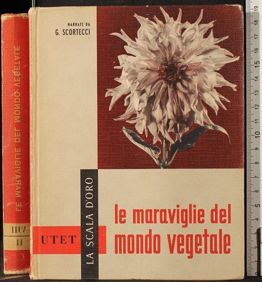 Le meraviglie del mondo vegetale - Scortecci - copertina