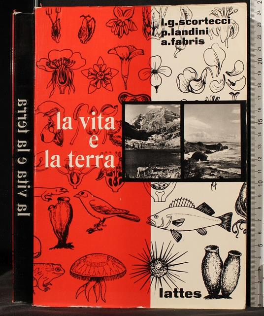 Meta Name='Viewport' Content='Width=Device-Width'/> La Vita e La - Scortecci - copertina