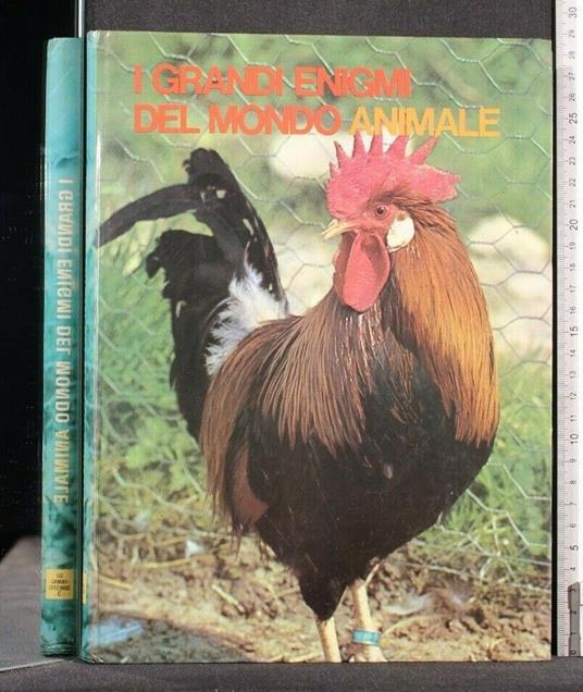 I Grandi Enigmi Del Mondo Animale Gli Animali Domestici 3 - Yves Verbeek - copertina