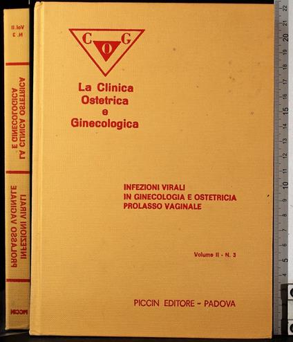 Infezioni virali prolasso vaginale Vol II N 3 - copertina