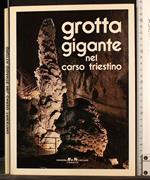 Grotta Gigante nel carso triestino