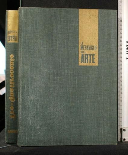 Le Meraviglie Dell'Arte Il Trecento e Il Quattrocento - copertina