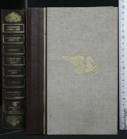 Selezione Del Libro L'Incantesimo di Vetro L'Aquila Sam Damon La - copertina