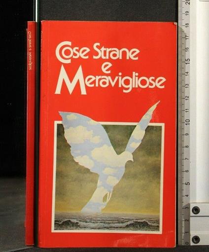 Cose Strane e Meravigliose - copertina