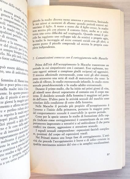 Origine Della Socialit Umana - Chiarelli - 1976 - Vallecchi - Antropologia - Brunetto Chiarelli - copertina