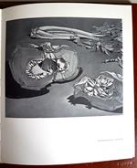 Enrico Villani - Albino Galvano - Bolaffi Editore 1971 Vercelli