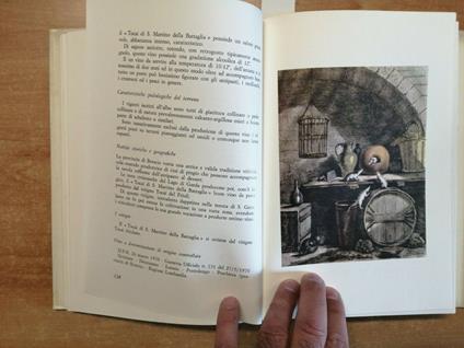 Corrado Gnavi - Il Guidavini - Fratelli Enrico - 1972 Rilegato Illustrato - Corrado Gini - copertina