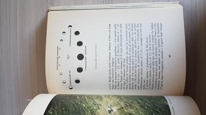 I Pianeti E Le Stelle - Giuseppe De Florentiis - copertina