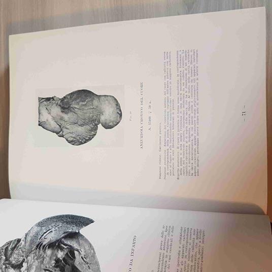 Anatomia Patologica Dell'Uomo - copertina