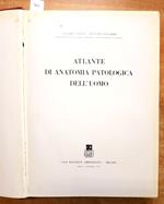 Atlante Anatomia Patologica Dell'Uomo