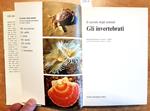 Il Mondo Degli Animali Gli Invertebrati 1971 Mondadori 180 Illustrazioni