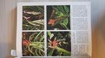 Piante In Casa Tutti I Segreti Per Curare Le Piante Ornamentali 1977 Rizzoli