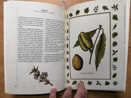 Nel Giallo In Provincia Di Pavia 2000 Torchio Dè Ricci - Cereali Ortaggi - copertina