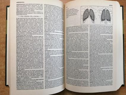 Scienze Completa In 2 Voll. Enciclopedia L'Universale Le Garzantine - copertina