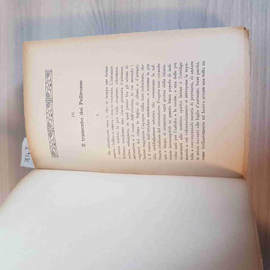 America Vissuta - Amy A. Bernardy - copertina